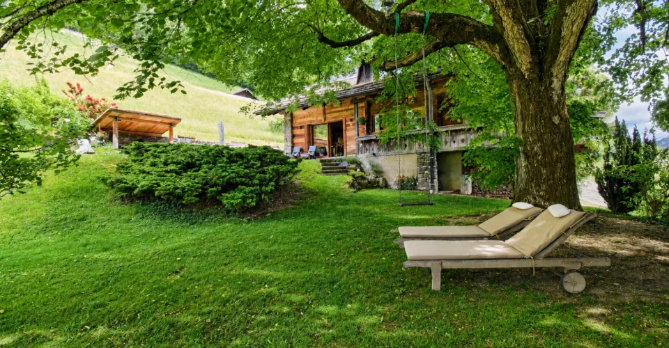 Magnifique chalet avec vue sur les Dents-du-Midi