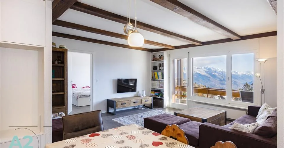 Spacieux 3 pièces rénové avec vue sur les Alpes