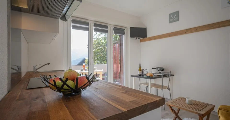 Studio situé au centre de la station d'Ovronnaz