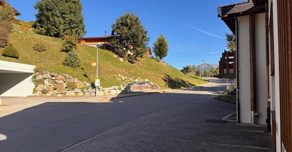 Ovronnaz , superbe 2.5 pièces meublé style chalet