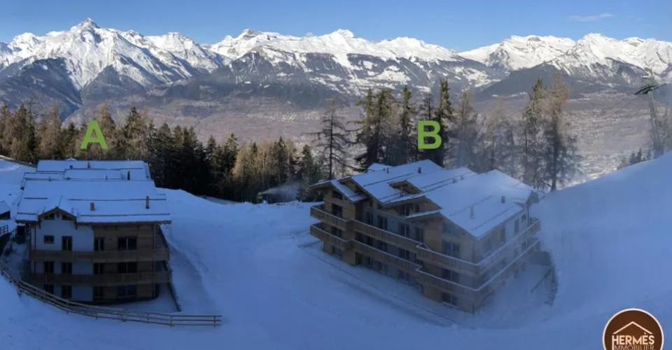 Superbe appartement ski-in & ski-out sur les pistes de Veysonnaz
