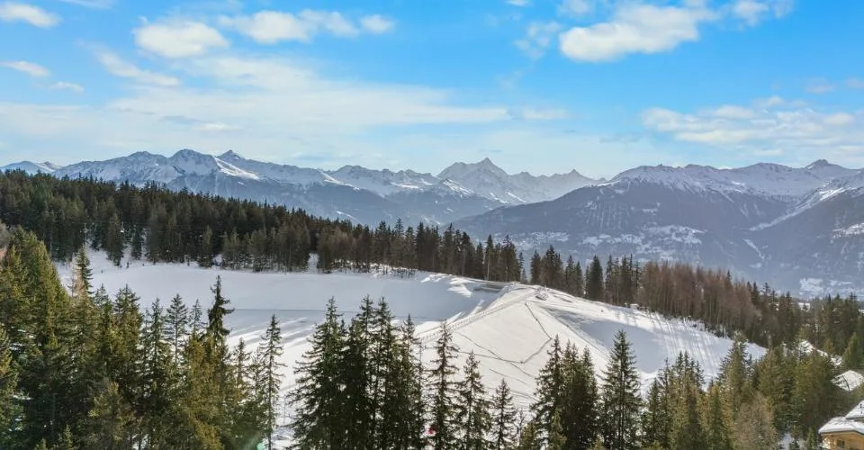 Chalet d'exception – Ski In - Ski Out privatif – Plans-Mayens – foto 2 di 10