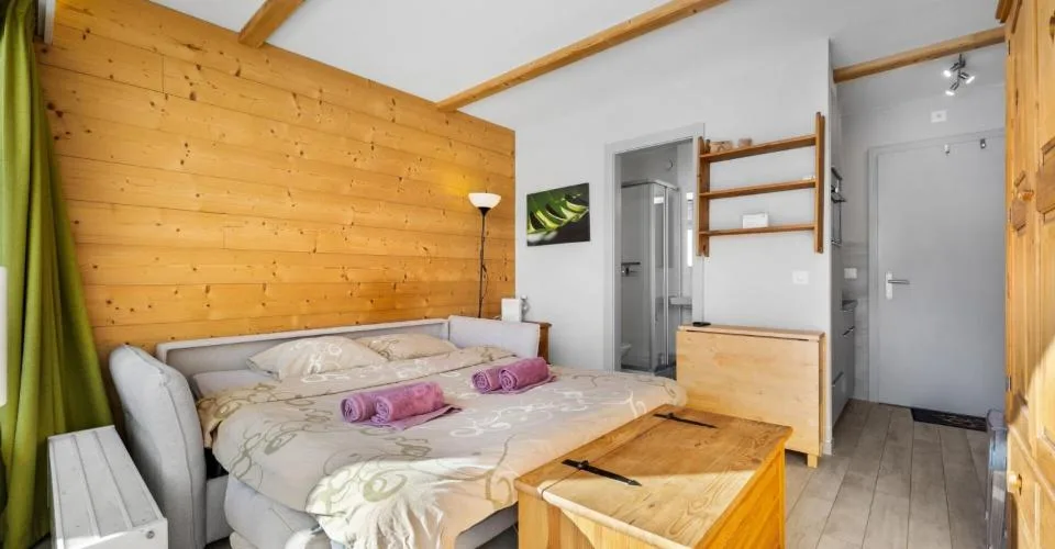 Appartement ski-in ski out de 1.5 pièces