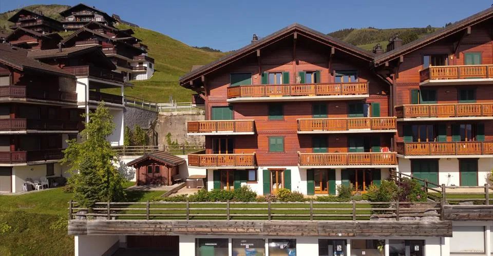 Magnifique appartement avec terrasse fleurie, cabane, jacuzzi privé, directement à côté des pistes de ski