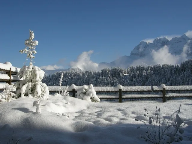 Magnifique appartement avec terrasse fleurie, cabane, jacuzzi privé, directement à côté des pistes de ski