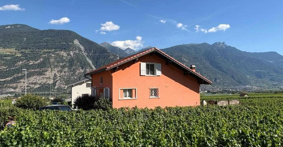 Charmante maison individuelle avec vigne - quartier très calme