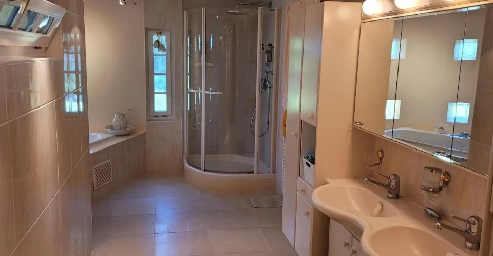 Splendide chalet de 7.5 pièces 525 m2 à Mollens vue imprenable