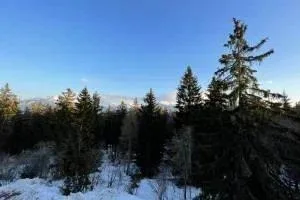 Vente - Appartement Crans-Montana