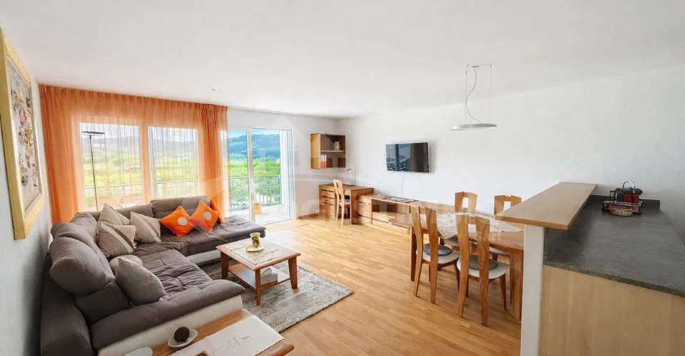 APPARTEMENT DANS LES BAINS DE SAILLON