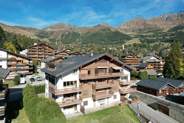 A VENDRE 5 PIECES A VERBIER