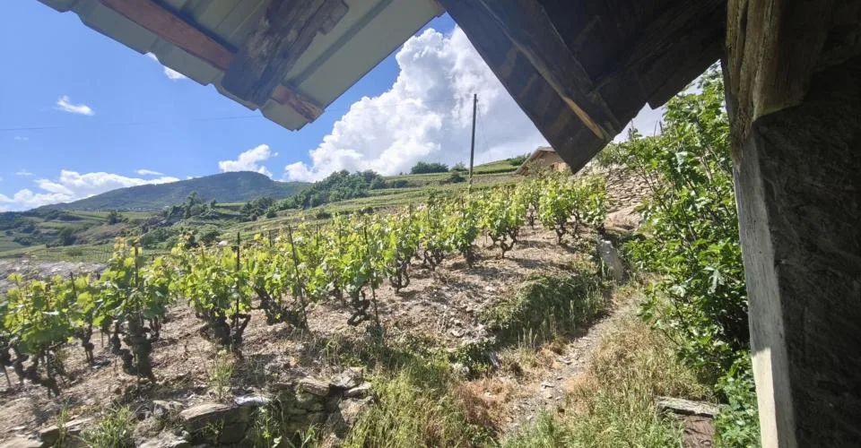 2 GRANGES À RÉNOVER SIERRE TERRAIN DE 780m2