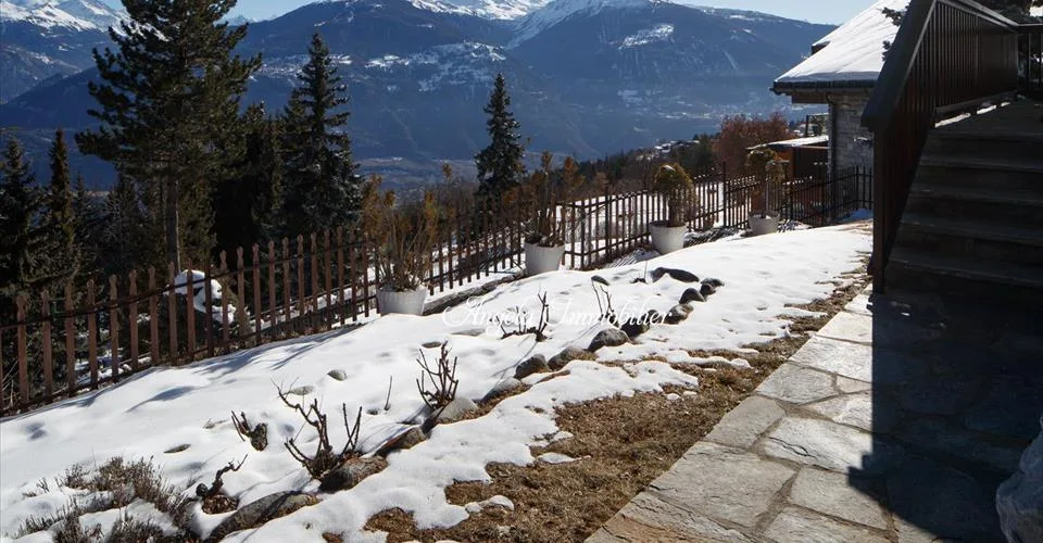 Chalet Petite Chene