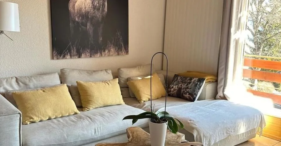 4 pièces avec cachet !