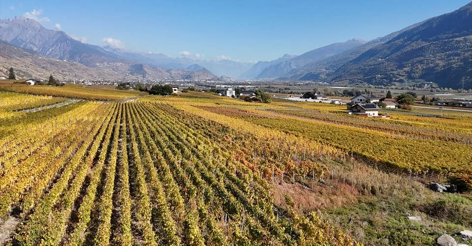 Dernière opportunité – Villa 4.5 pièces neuve à St-Pierre-de-Clages
