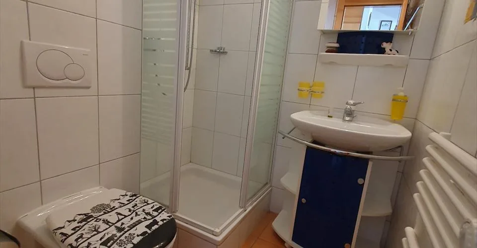 Coup de coeur ! Appartement 3.5 pièces, attique, duplex, orienté sud, à Ovronnaz/VS