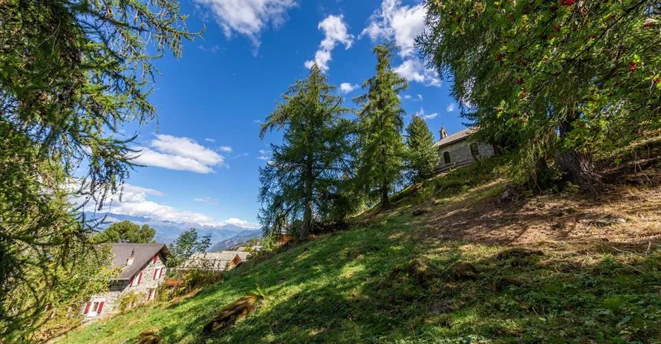 Chalet de haut standing à constuire, Veillas 2, uniquement en résidence principale – photo 2 sur 9
