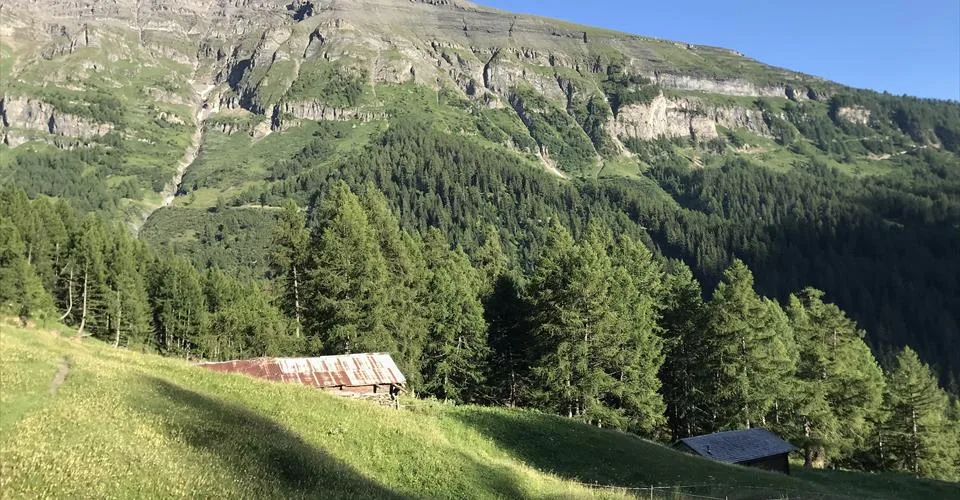 Chalet CH-10, magnifique grand chalet de haute qualité dans un emplacement privilégié exposé plein sud avec de superbes vues