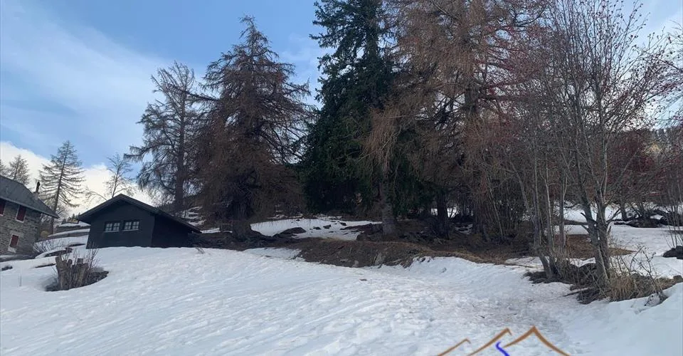 Chalet familial de haut standing - Résidence principale uniquement – photo 2 sur 4