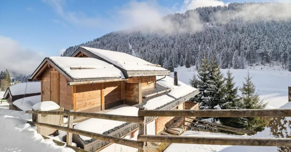 Élégance alpine et panorama à Morgins - Portes du Soleil – Foto 3 von 13