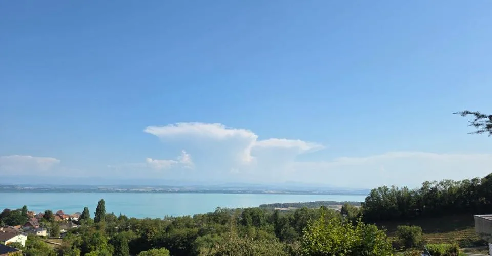 Villa Terrasse de 5,5 pièces avec vue époustouflante sur le lac et les Alpes – photo 3 sur 13