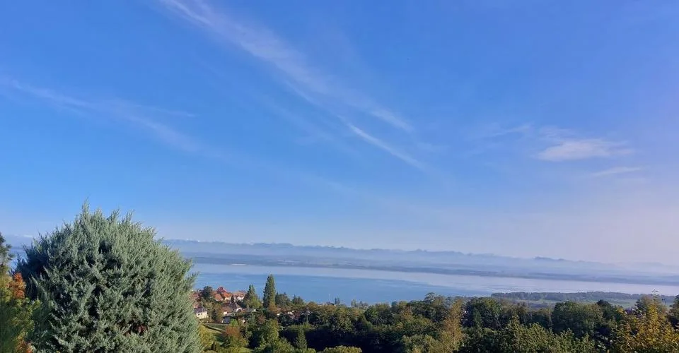 Villa Terrasse de 5,5 pièces avec vue époustouflante sur le lac et les Alpes – photo 4 sur 13