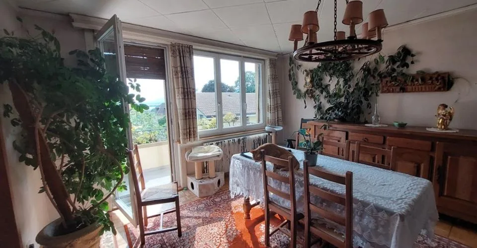 Maison villageoise avec jardin offrant deux appartements et un espace commercial – photo 7 sur 13
