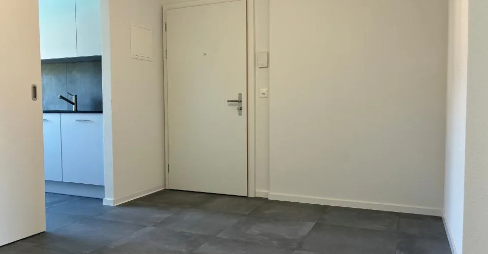 A vendre appartement rénové de 3 pièces - piscine