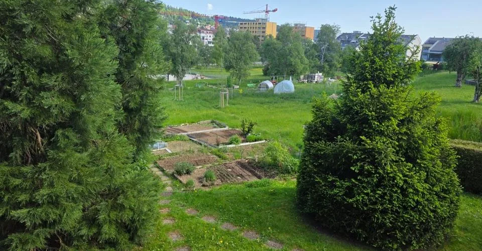 Appartement lumineux de 5,5 pièces avec ascenseur et garage