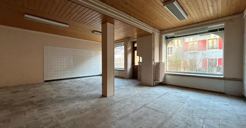 Immeuble de 3 niveaux plus combles avec de très beaux jardins.