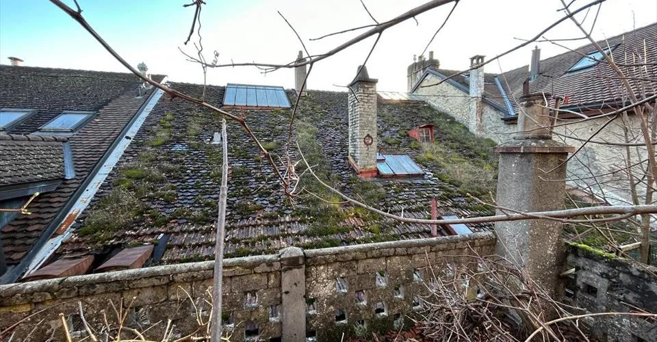 Immeuble de 3 niveaux plus combles avec de très beaux jardins.