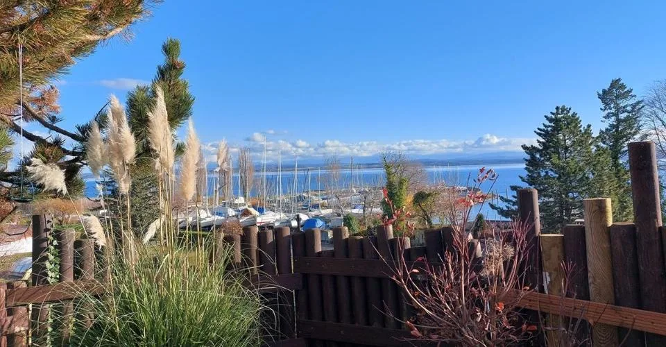 Spacieuse villa avec vue sur le lac et les alpes
