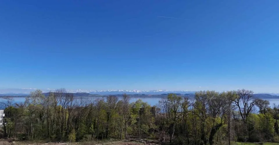 Domaine de Champréveyres: Opportunités multiples avec vue lac