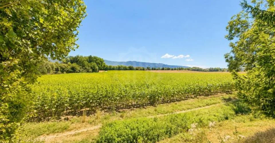 Charmant appartement - Perly