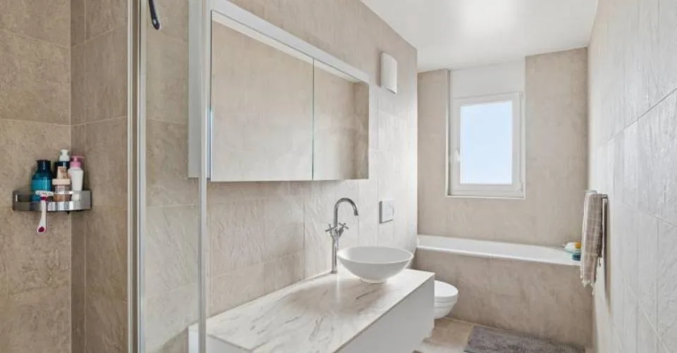 Appartement agréable - Chancy