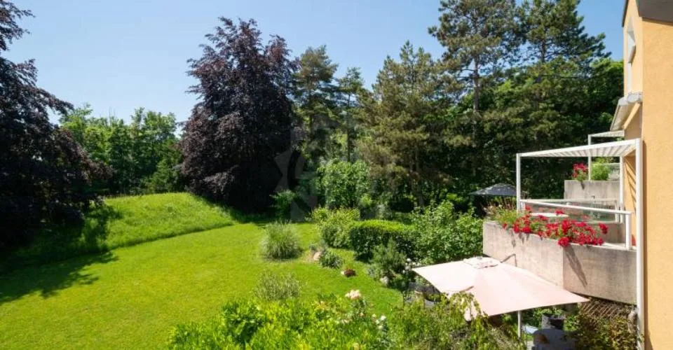 Charmant appartement - Chambésy