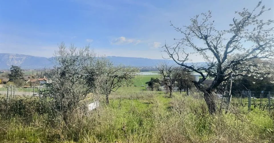 Cabanon de jardin aménagé avec terrain pour amoureux de la nature