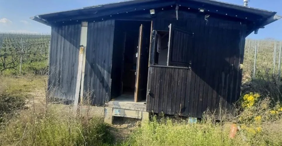 Cabanon de jardin aménagé avec terrain pour amoureux de la nature