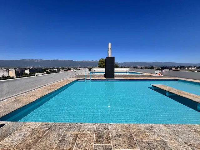 Viager – Magnifique appartement, vue panoramique et piscine sur le toit - Petit-Saconnex