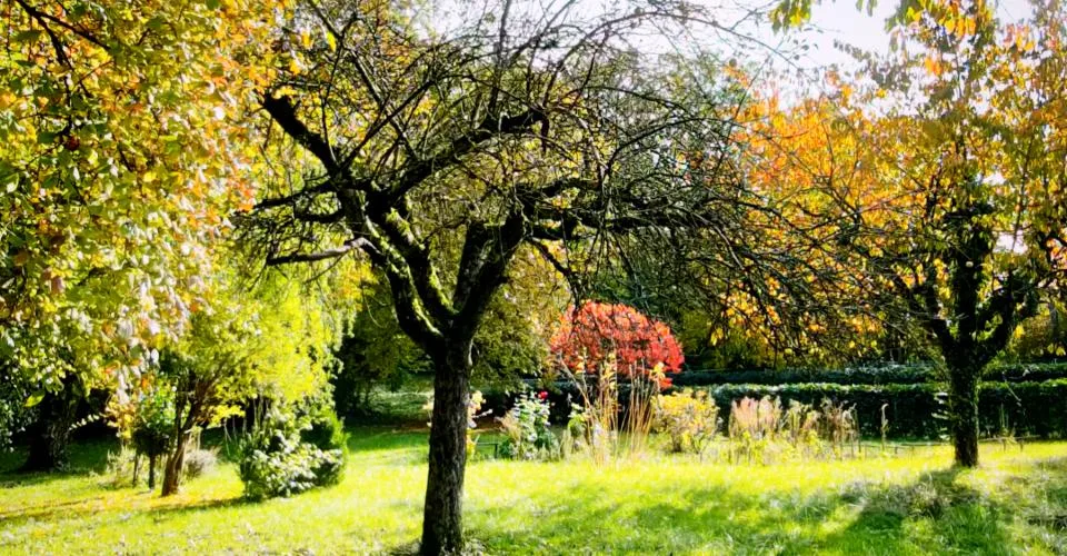 Ventes sur plan entière rénovation d'une vielle bâtisse à Anières