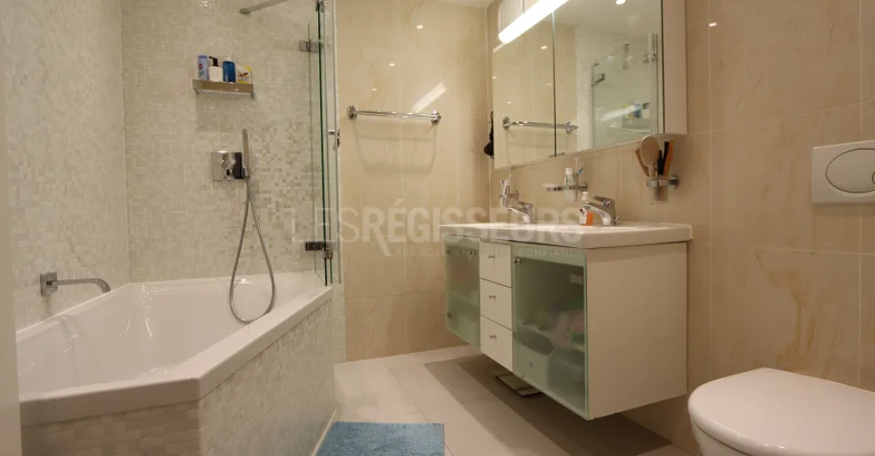 Magnifique appartement de 5 pièces dans le village de Meyrin