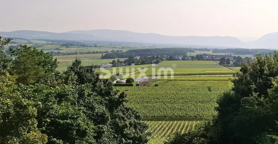 Propriété villageoise aux volumes insoupçonnés