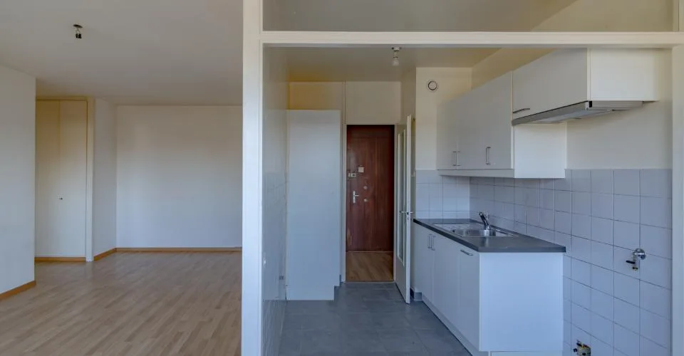 Charmant appartement de 3 pièces à Lancy