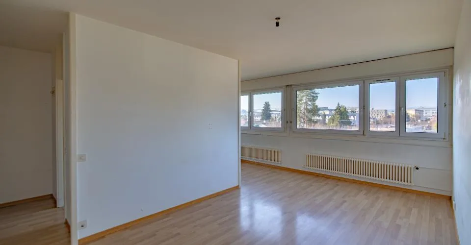 Charmant appartement de 3 pièces à Lancy