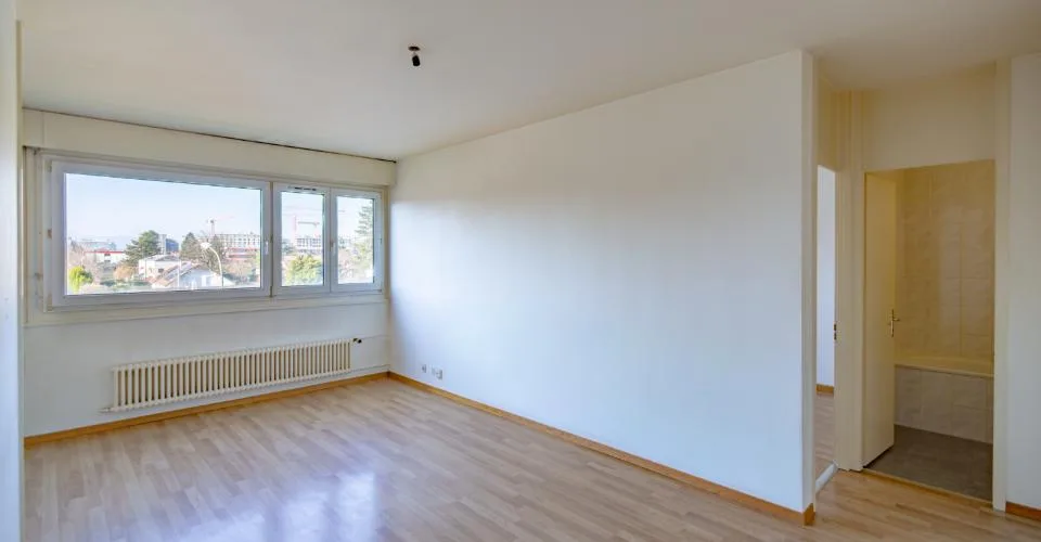 Charmant appartement de 3 pièces à Lancy