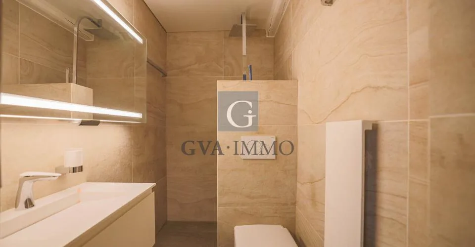 Charmant appartement avec terrasses dans la campagne genevoise