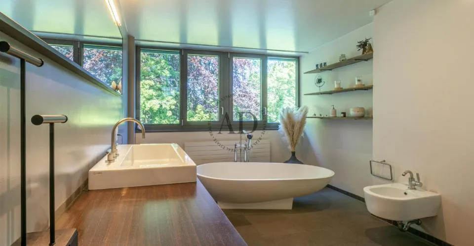 Rare à la vente: Loft proche de Carouge