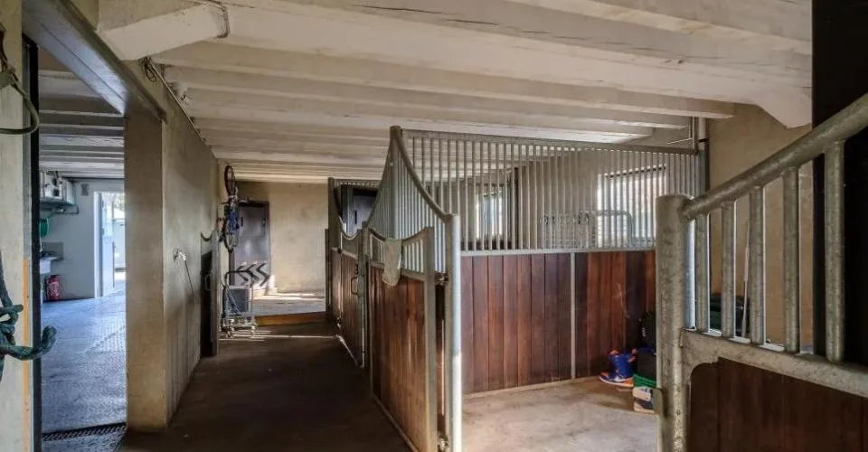 Propriété équestre à Genève Rive gauche – Foto 8 von 10