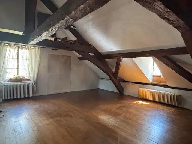 OFF MARKET - EXCLUSIVITE - RARE Immeuble mixte de charme avec jardin au coeur de Carouge