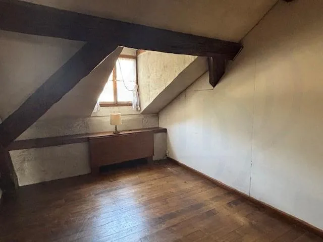 OFF MARKET - EXCLUSIVITE - RARE Immeuble mixte de charme avec jardin au coeur de Carouge