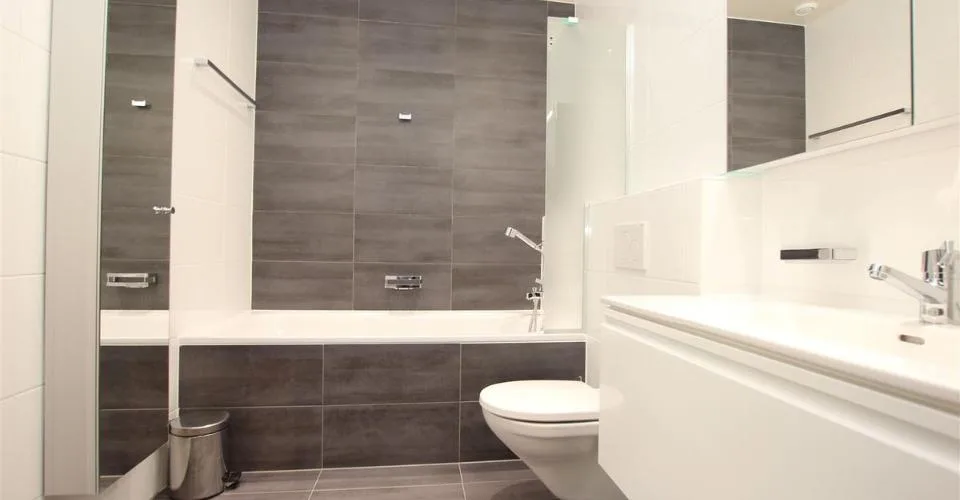 UN JARDIN AU CETRE VILLE | PROCHE ECOLE INTERNATIONALE ET PARC BERTRAND | 2 APPARTEMENTS